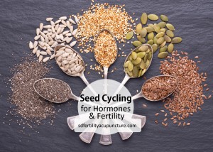 learn about seed cycling its benefits for women's hormonal balance and fertility